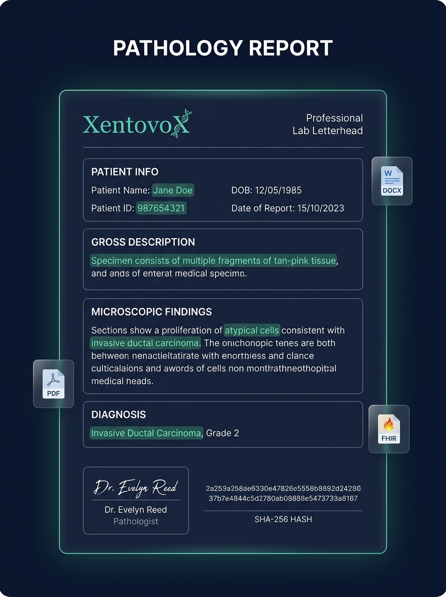 Structured pathology report with PDF, DOCX, and FHIR export formats